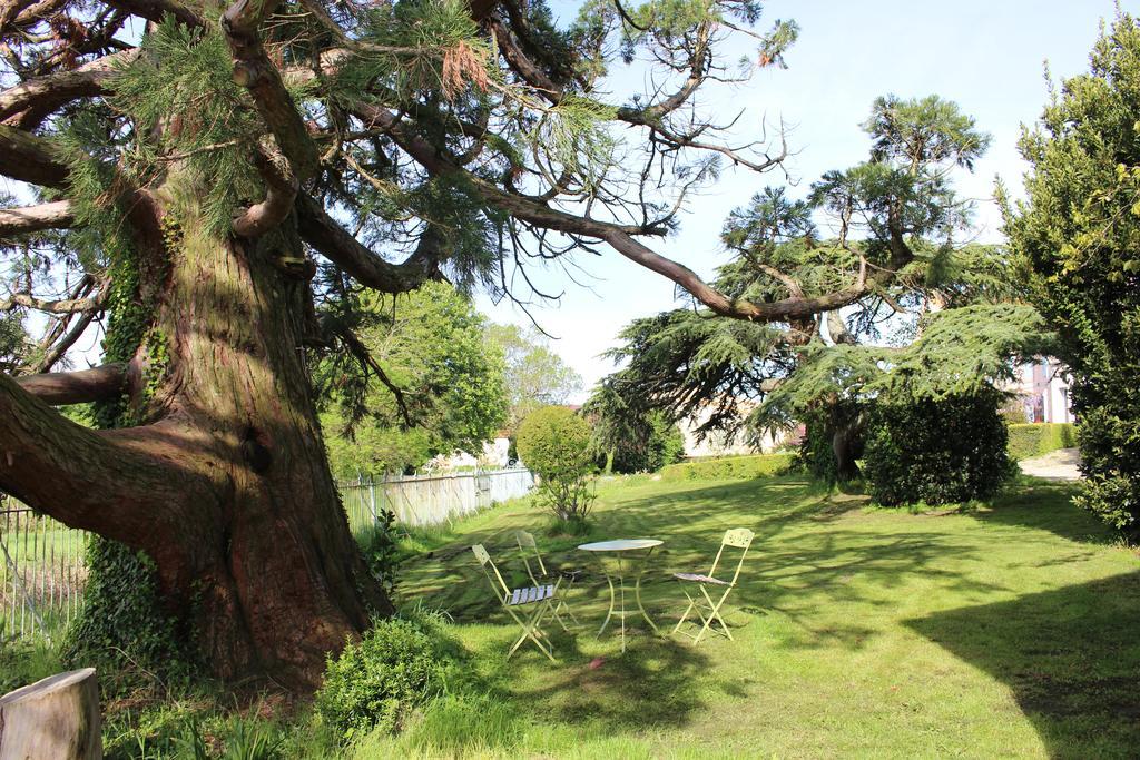 Château de Villeneuve - Montolieu Exterior foto